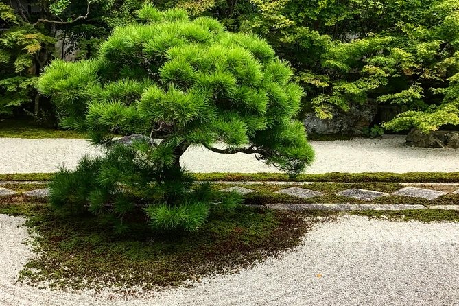 Come realizzare un giardino zen | Parte 2