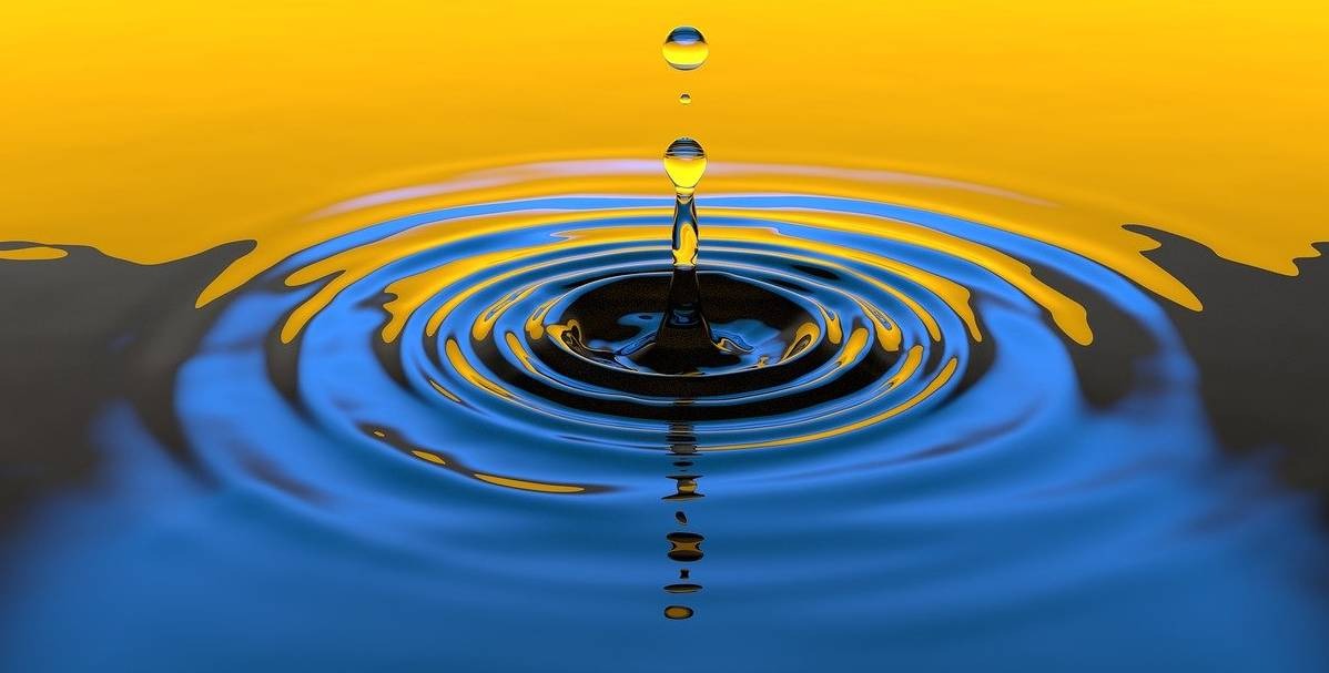 Tutti i modi in cui perdiamo l'acqua | Parte 1